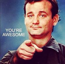 Image result for Your Awesome Bill Murray