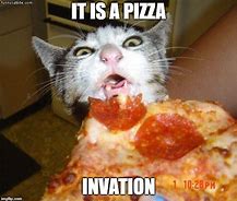 Image result for Cat and Lady Meme Pizza