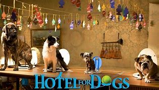 Image result for Andi Hotel for Dogs