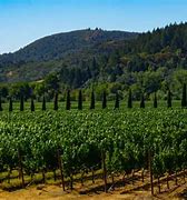 Image result for Healdsburg, CA