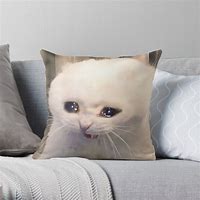 Image result for Cat Meme Pillow