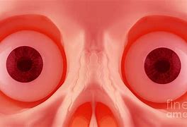 Image result for Skeleton Eyes