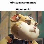Image result for Winston Meme