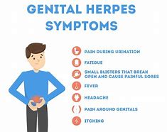 Image result for Genitals Herpes Pictures in Men