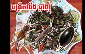 Image result for Khmer Deep Fried Crickets