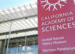 Image result for California Academy of Sciences Logo