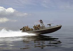 Image result for Seal Rhib