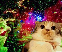 Image result for Anime Galaxy Cat Movie