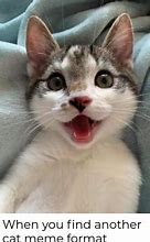 Image result for happy cats meme
