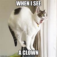 Image result for Scared Cat Mem