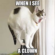 Image result for Kitty Cat Scared Meme