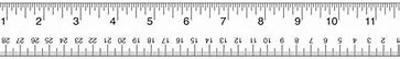 Image result for 12-Inch Ruler Life-Size