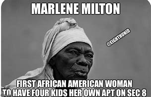 Image result for AP African American History Memes