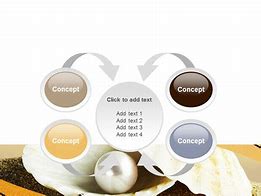 Image result for Pearl PowerPoint Template