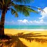 Image result for Summer iPad Backgrounds