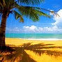 Image result for Free Screensavers and Wallpaper for Summer