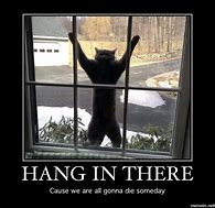 Image result for Hang in There Meme Original