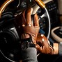 Image result for Horse Cart Racing Gloves