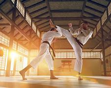 Image result for Karate Class Japan