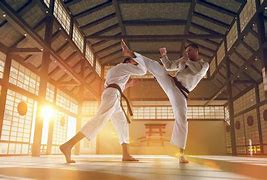 Image result for Karate Japan