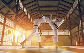 Image result for Types of Japanese Karate