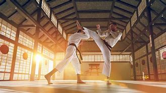 Image result for Martial Arts Sport Photography