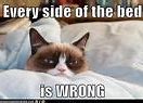 Image result for Grumpy Cat Angry