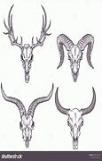 Image result for Deer Skulls