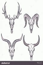 Image result for Deer Skull Sketch