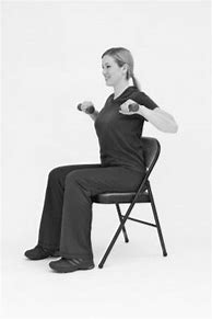 Image result for AB Workouts in Chair