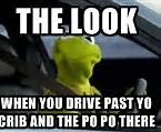 Image result for Kermit Funny Meme Hilarious