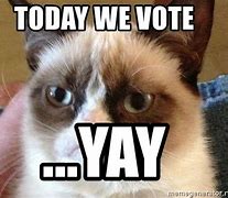 Image result for Get Out and Vote Memes