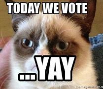 Image result for Funny Memes About Voting