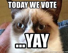 Image result for Memes to Demonstrate Voting