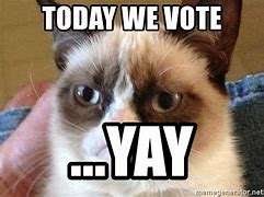 Image result for Voting Meme Sweating