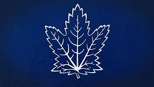 Image result for Toronto Maple Leafs Flag Hockey Stick