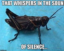 Image result for Images of Crickets Memes