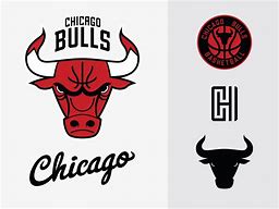 Image result for Chicago Bulls Logo Redesign