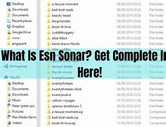 Image result for ESN Software