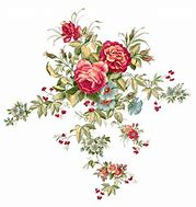 Image result for Floral Wallpaper PNG