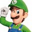 Image result for Luigi From Super Mario