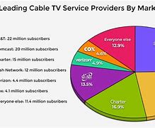 Image result for Cable Television Market Share