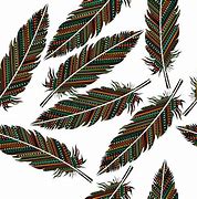Image result for Anarctic Feather