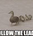 Image result for Funny Cartoons About Leadership