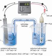Image result for Electrochemical Cell Potential
