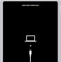 Image result for iPad Stuck in Recovery Mode