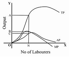 Image result for Production Volume Curve