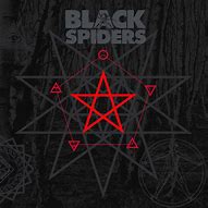 Image result for Black Spider Cover