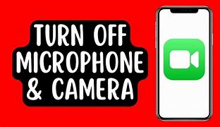 Image result for Turn Off Mic From FaceTime