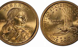 Image result for 2000 Sacagawea Dollar Feeder Fingerprint